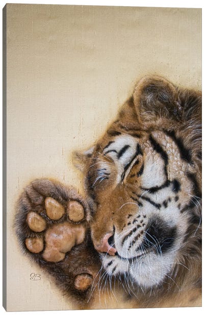 Dreamy Tiger II Canvas Art Print - Emotive Animals
