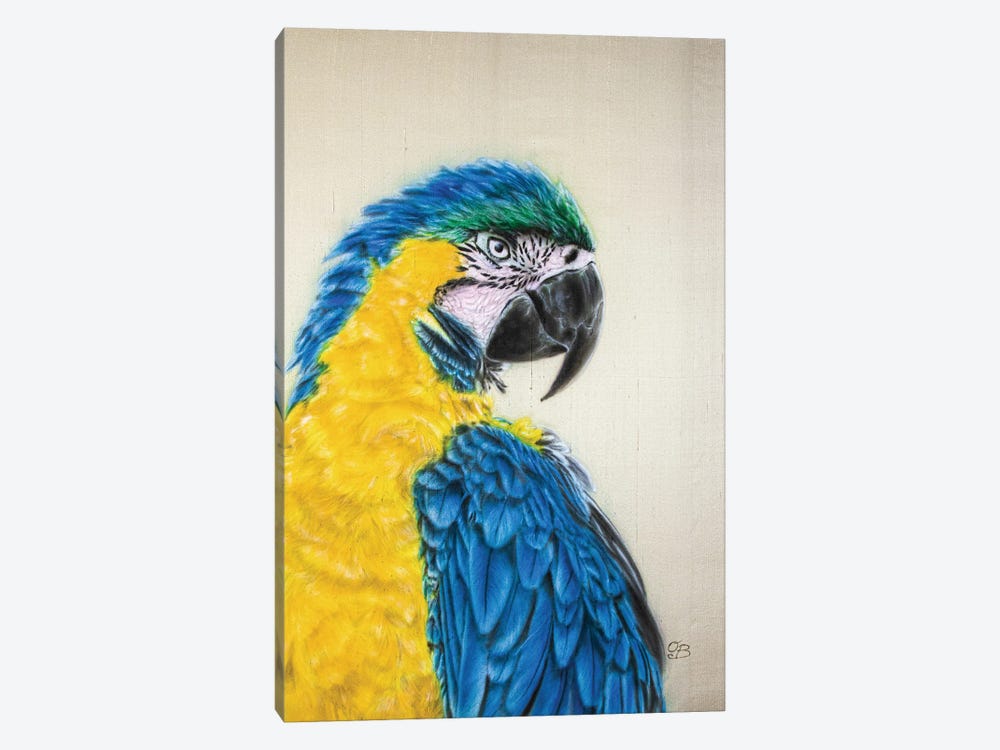 Macaw by Olga Belova 1-piece Canvas Art Print