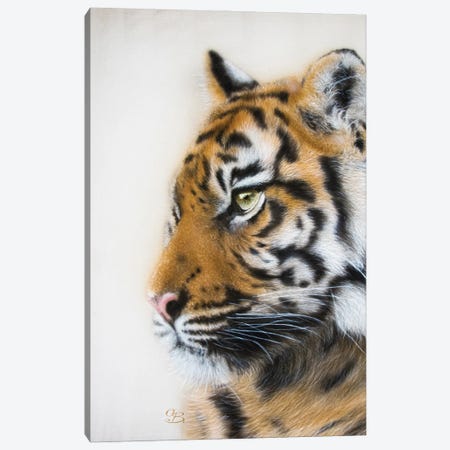 Tiger Portrait II Canvas Print #OBV43} by Olga Belova Canvas Art Print