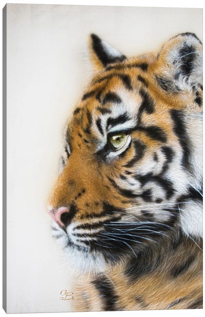 Tiger Portrait II Canvas Art Print - Olga Belova