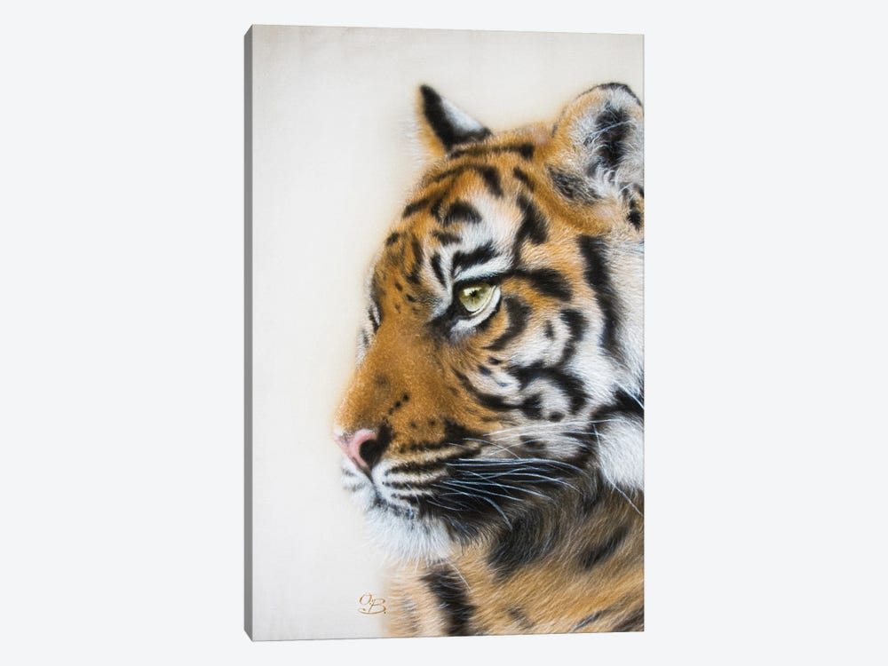 Tiger Portrait II by Olga Belova 1-piece Canvas Art
