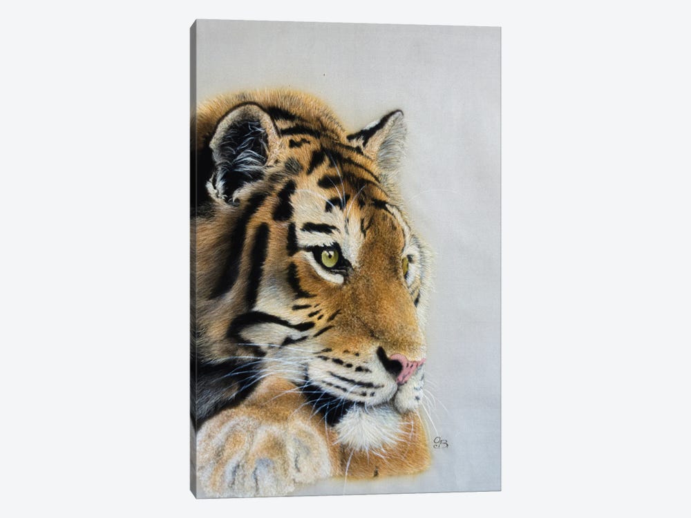 Dreaming Tiger by Olga Belova 1-piece Canvas Art Print