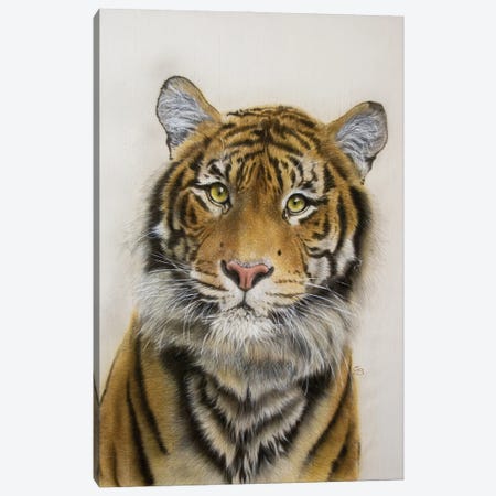 Naresh - Tiger Portrait Canvas Print #OBV46} by Olga Belova Canvas Artwork