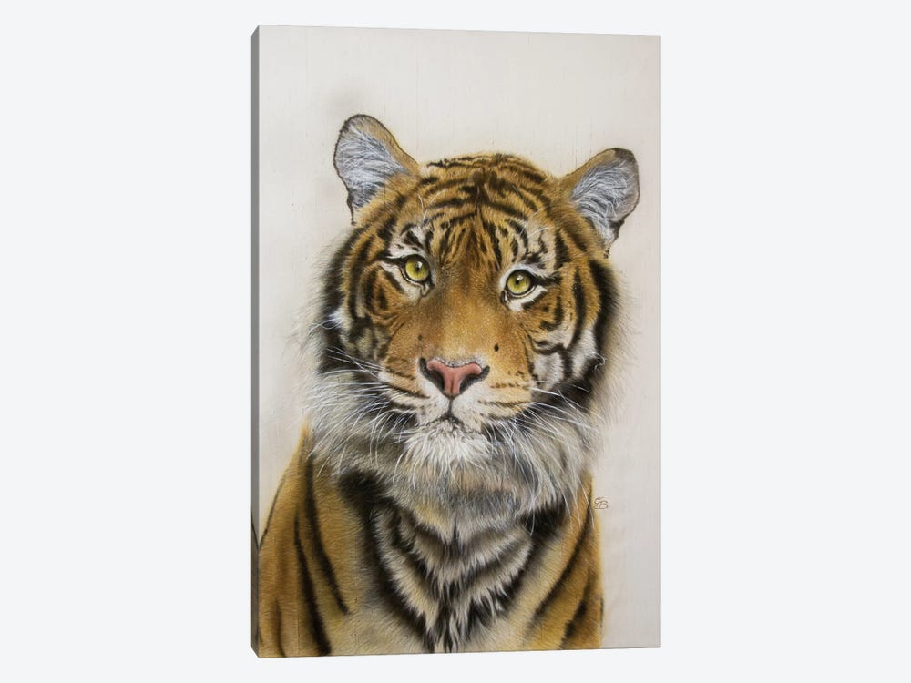 Naresh - Tiger Portrait by Olga Belova 1-piece Canvas Art Print