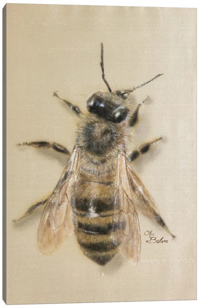 Silky Bee Canvas Art Print - Olga Belova