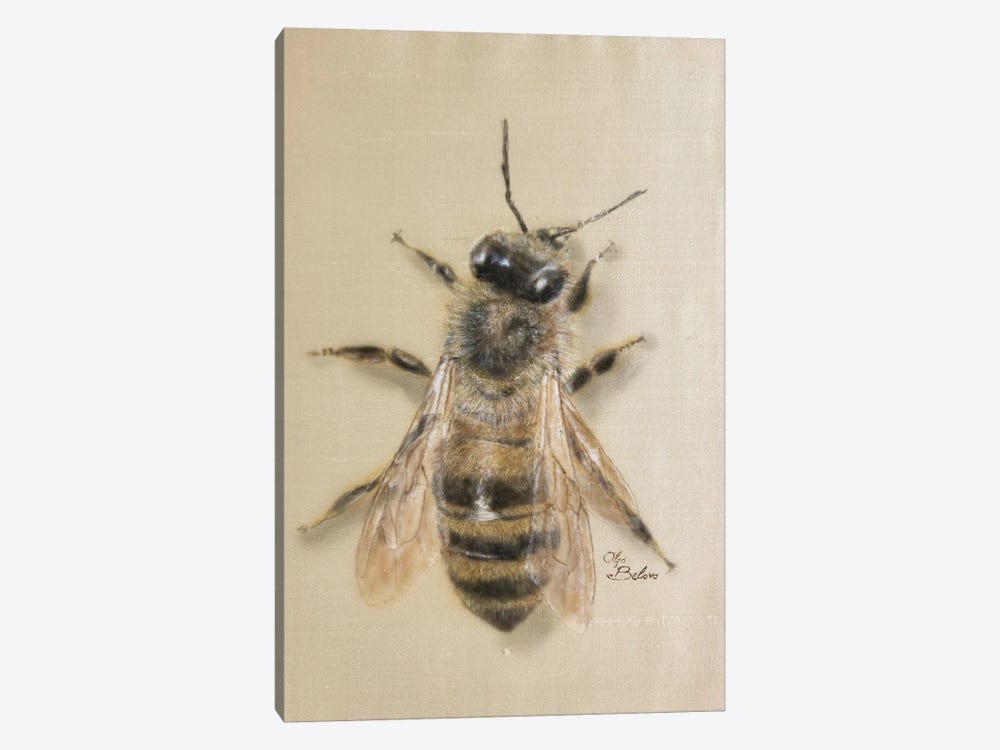 Silky Bee by Olga Belova 1-piece Canvas Wall Art