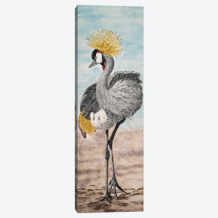 Crowned Crane Canvas Print #OBV4} by Olga Belova Canvas Print