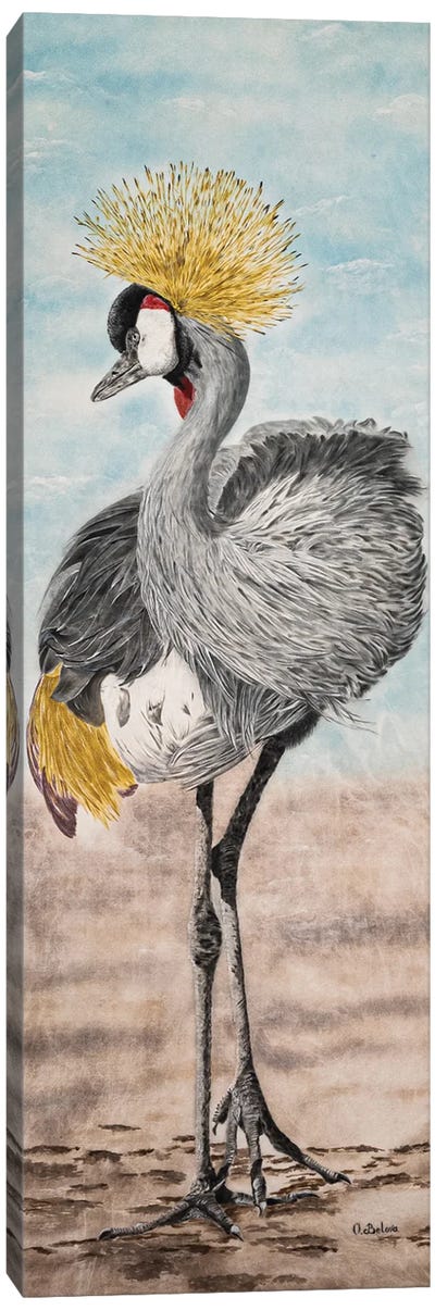 Crowned Crane Canvas Art Print