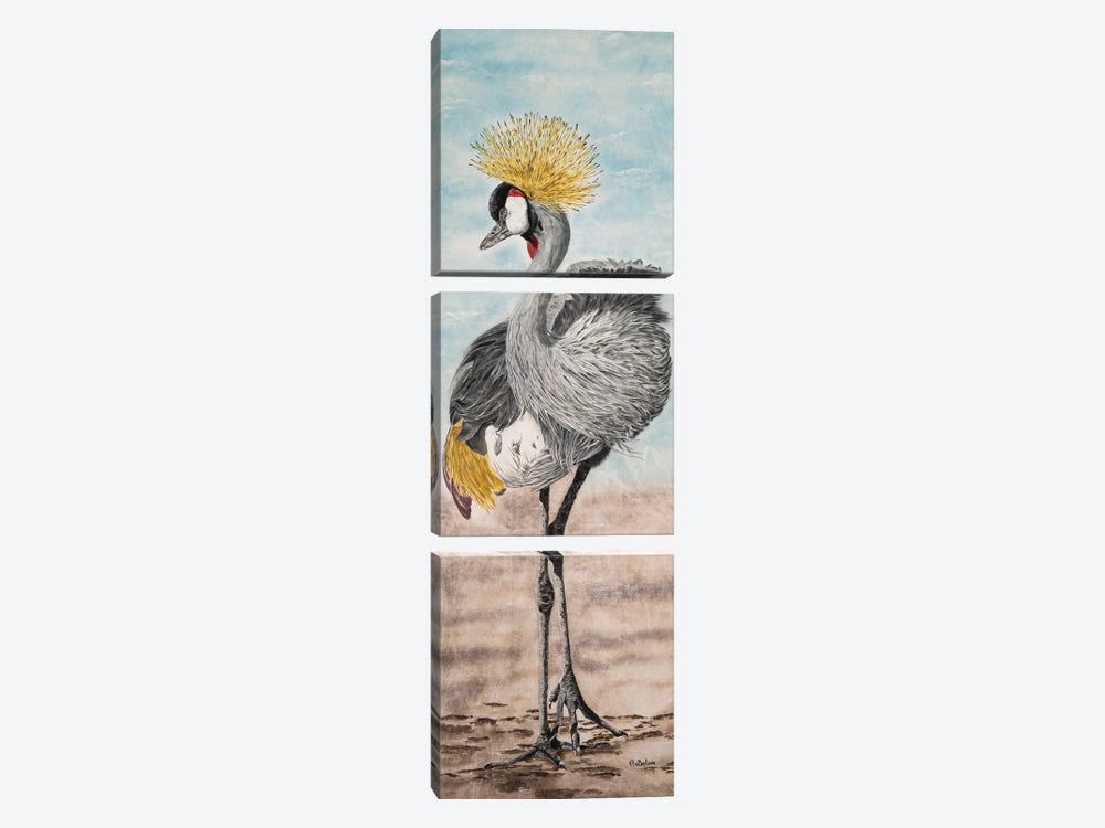 Crowned Crane by Olga Belova 3-piece Canvas Art Print