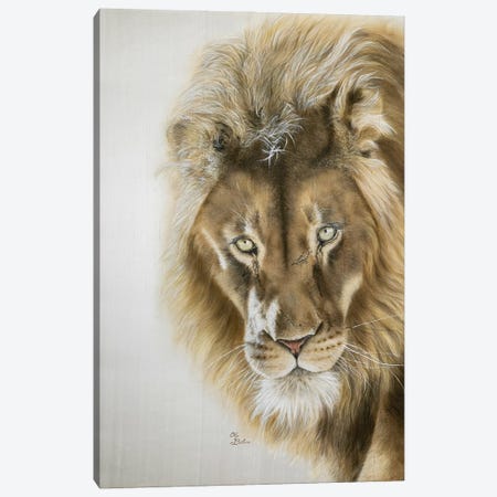 Lion Canvas Print #OBV50} by Olga Belova Canvas Artwork