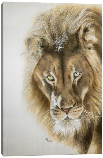 Lion Canvas Art Print - Olga Belova