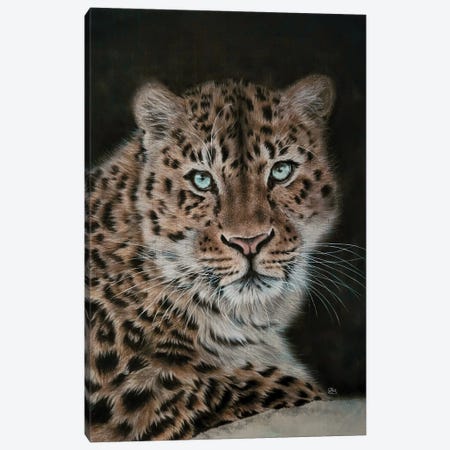 Leopard At Night Canvas Print #OBV52} by Olga Belova Canvas Wall Art
