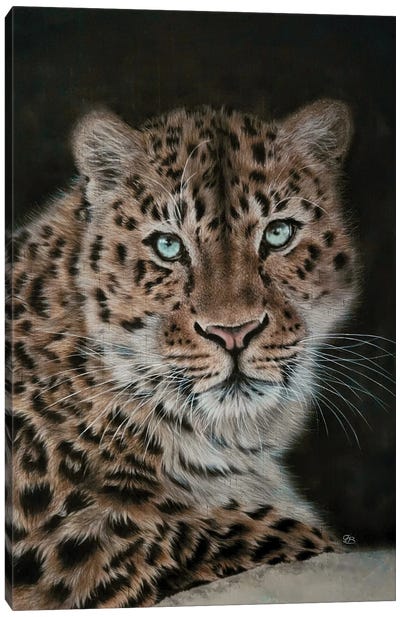 Leopard At Night Canvas Art Print - Olga Belova