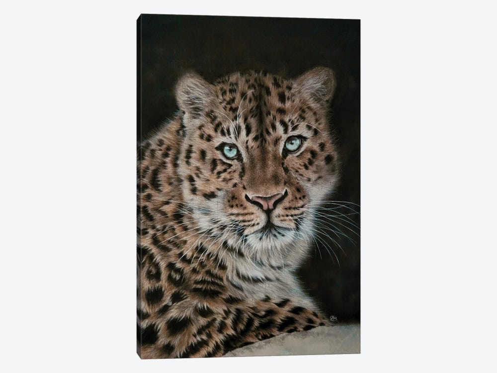 Leopard At Night by Olga Belova 1-piece Canvas Wall Art