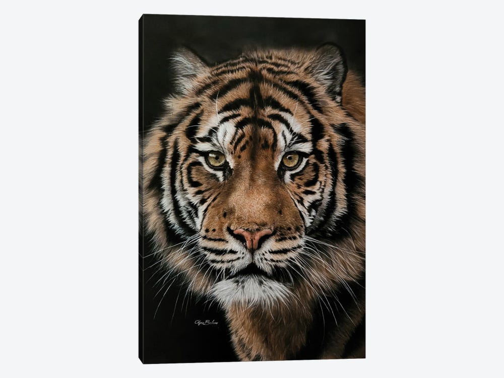 Tiger On Black I by Olga Belova 1-piece Canvas Print