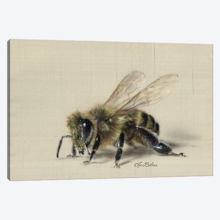 Busy Bee Canvas Print #OBV55} by Olga Belova Art Print