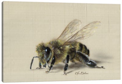 Busy Bee Canvas Art Print - Olga Belova