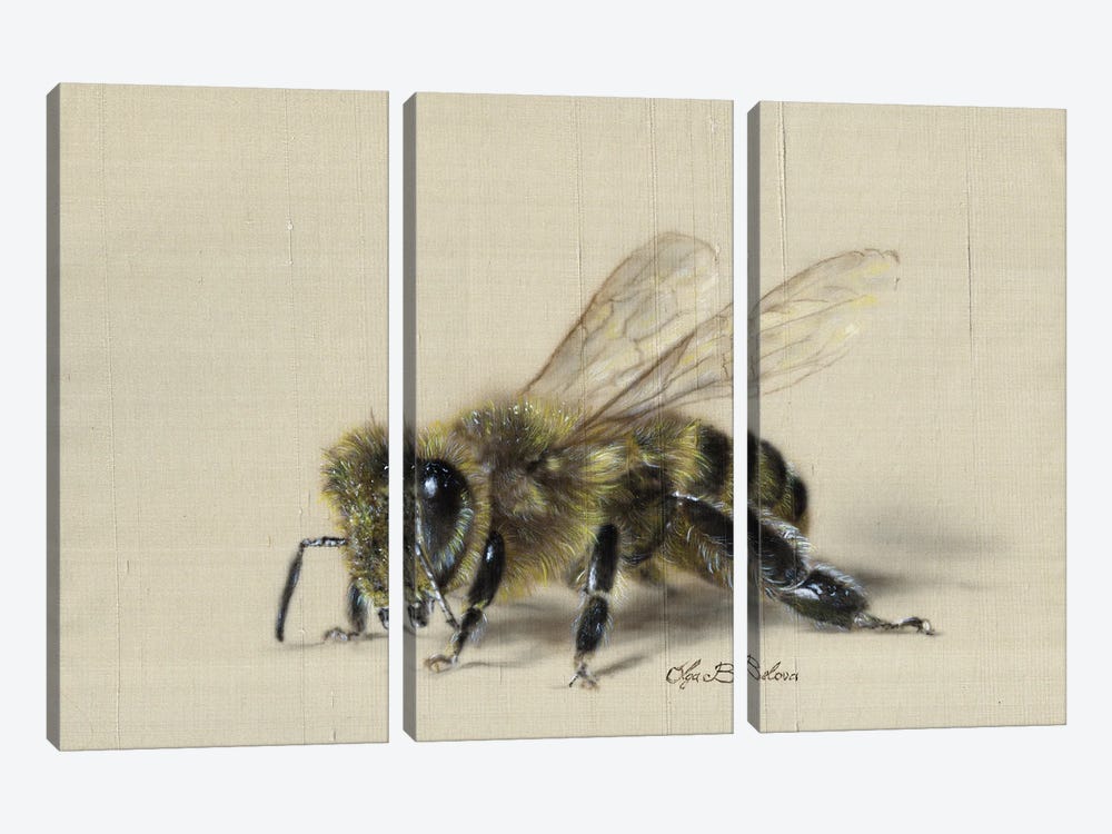 Busy Bee by Olga Belova 3-piece Canvas Art Print
