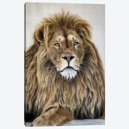 Lion King Canvas Print #OBV56} by Olga Belova Canvas Art Print