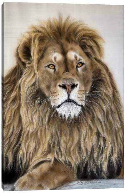 Lion King Canvas Art Print - Olga Belova