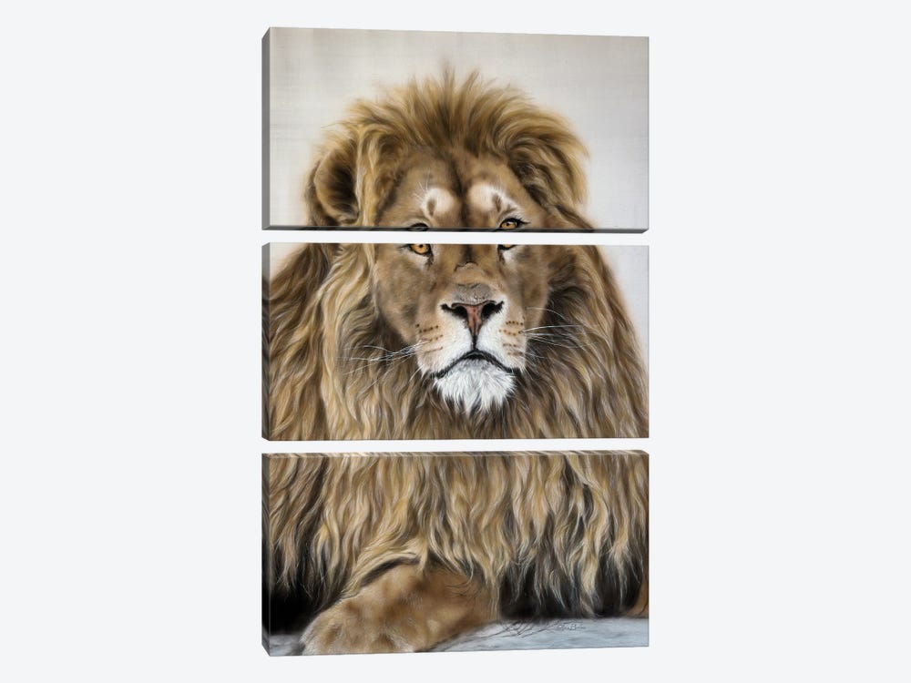 Lion King by Olga Belova 3-piece Canvas Wall Art