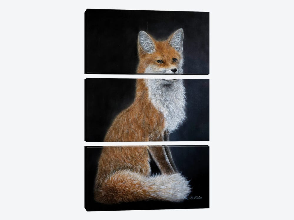 Grey Fox by Olga Belova 3-piece Canvas Print