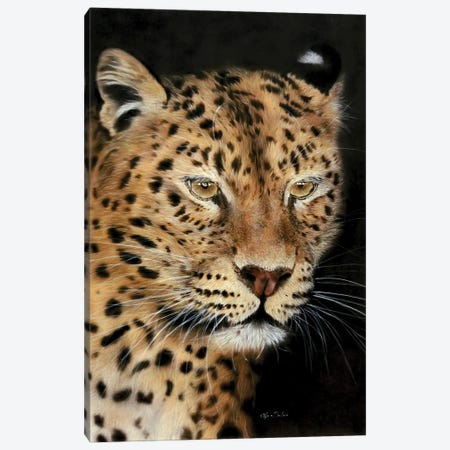 Wonder - Leopard Portrait Canvas Print #OBV58} by Olga Belova Canvas Art