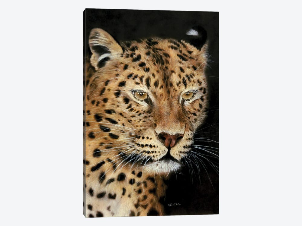 Wonder - Leopard Portrait by Olga Belova 1-piece Canvas Art