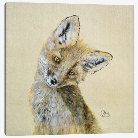 Curious fox Canvas Print #OBV5} by Olga Belova Canvas Print