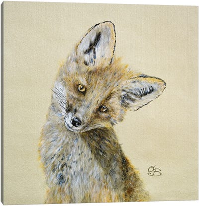 Curious fox Canvas Art Print - Emotive Animals