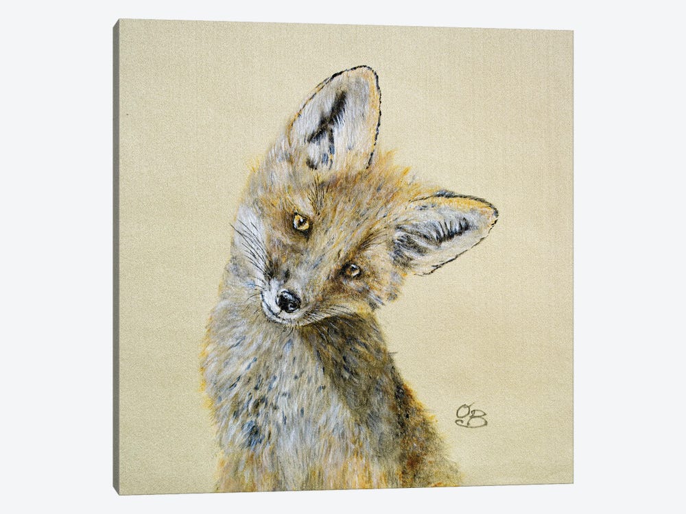 Curious fox by Olga Belova 1-piece Canvas Artwork