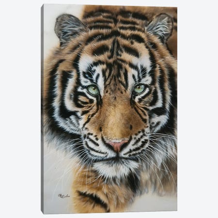 King - Tiger Portrait Canvas Print #OBV61} by Olga Belova Canvas Print