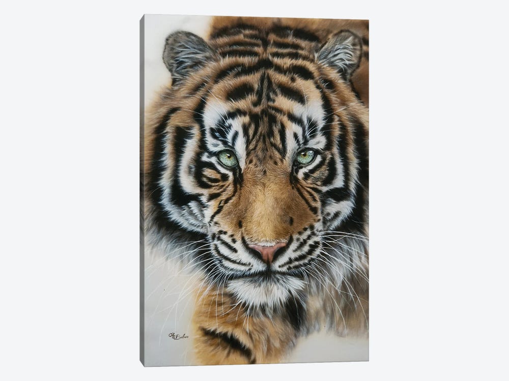 King - Tiger Portrait by Olga Belova 1-piece Canvas Art