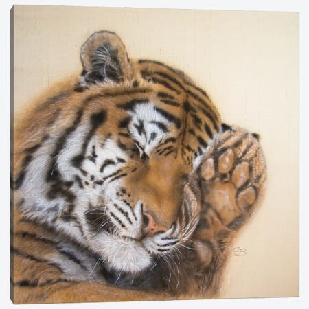 Dreamy Tiger II Canvas Print #OBV7} by Olga Belova Canvas Print