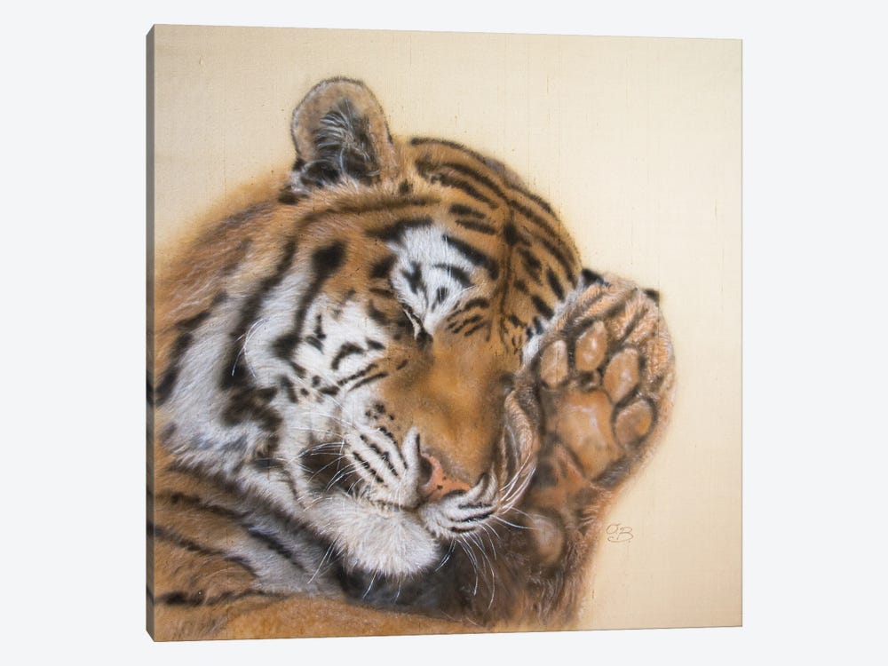 Dreamy Tiger II by Olga Belova 1-piece Canvas Art