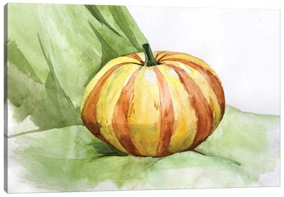 Pumpkin Watercolor Illustration. Still Life III Canvas Art Print - Pumpkins