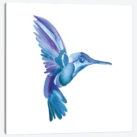 Blue and Purple Hummingbird Watercolor Canvas Print for Sale by  Alishathunem