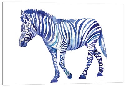 Zebra Canvas Art Print - Olga Crée