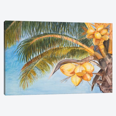Coconut Palm Trees Canvas Print #ODM1} by Jan Odum Canvas Artwork
