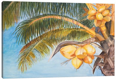 Coconut Palm Trees Canvas Art Print