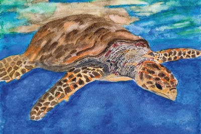 Jan Odum
