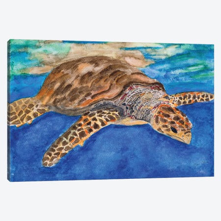 Turtle at Sea Canvas Print #ODM2} by Jan Odum Canvas Art