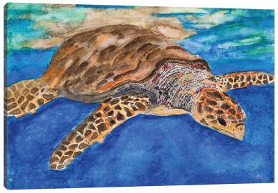 Turtle at Sea Canvas Art Print