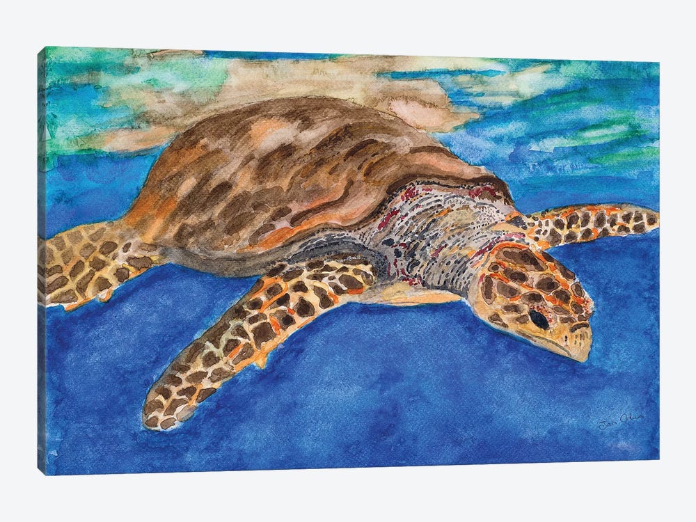Turtle at Sea by Jan Odum 1-piece Canvas Artwork