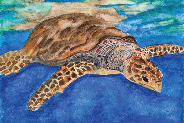 Turtles: Turtle at Sea by Jan Odum