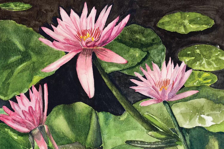 Water Lillie's by Jan Odum wall art