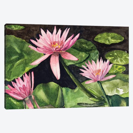 Water Lillie's Canvas Print #ODM3} by Jan Odum Canvas Art