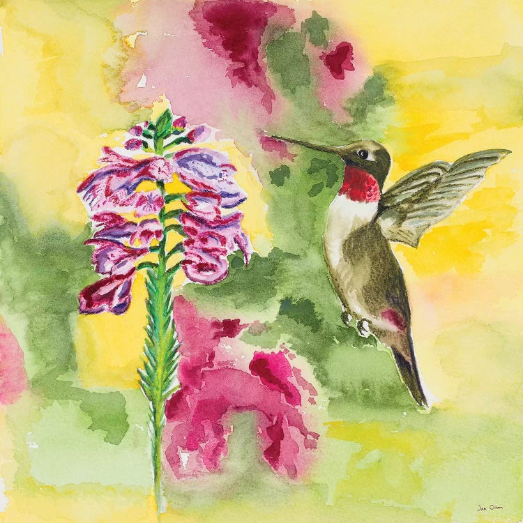 Watercolor Hummingbird by Jan Odum wall art