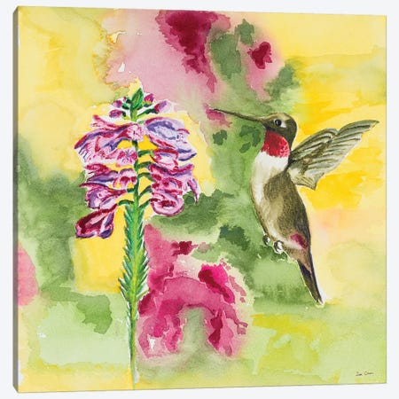 Watercolor Hummingbird Canvas Print #ODM4} by Jan Odum Canvas Print
