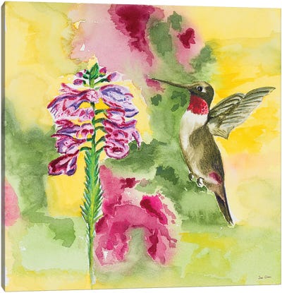 Watercolor Hummingbird Canvas Art Print